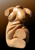 Torse - Le 3D bois