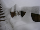 ...Sommeil sous la neige - de la borne à son sommeil d'hiver