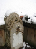 Premiers frimas - de la borne à son sommeil d'hiver