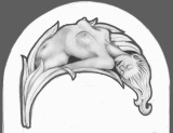 Le projet - de la borne à son sommeil d'hiver
